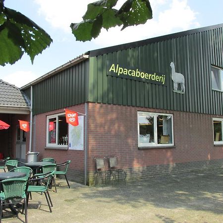 Apartamento De Alpacaboerderij Bocholt Exterior foto