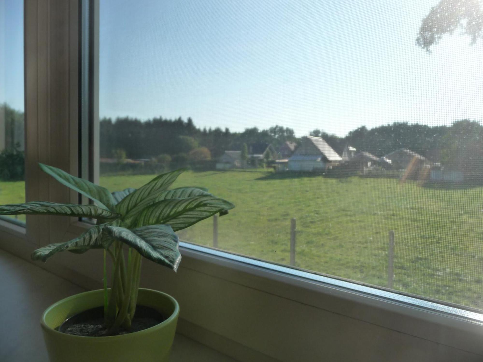 Apartamento De Alpacaboerderij Bocholt Habitación foto
