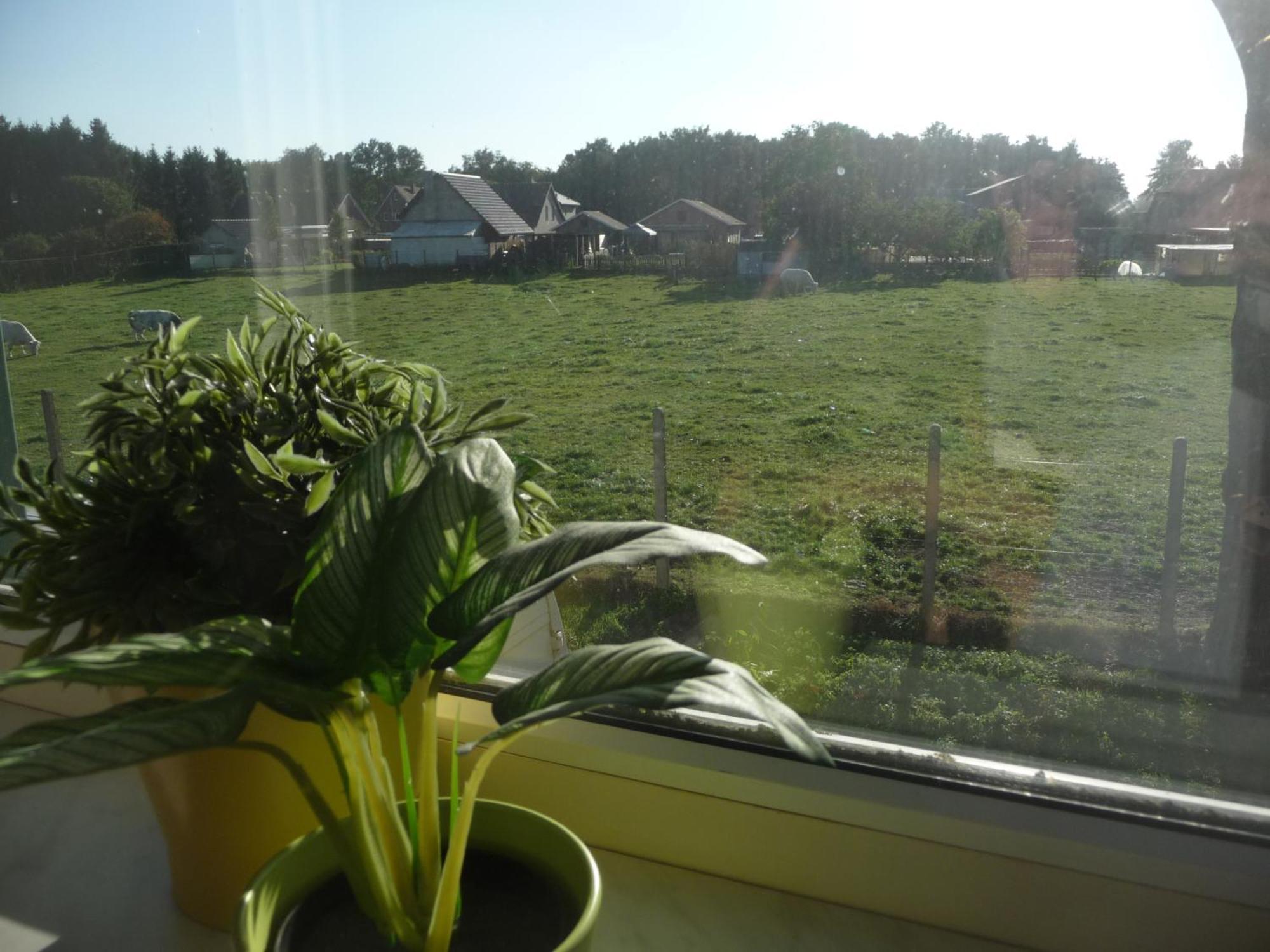Apartamento De Alpacaboerderij Bocholt Habitación foto