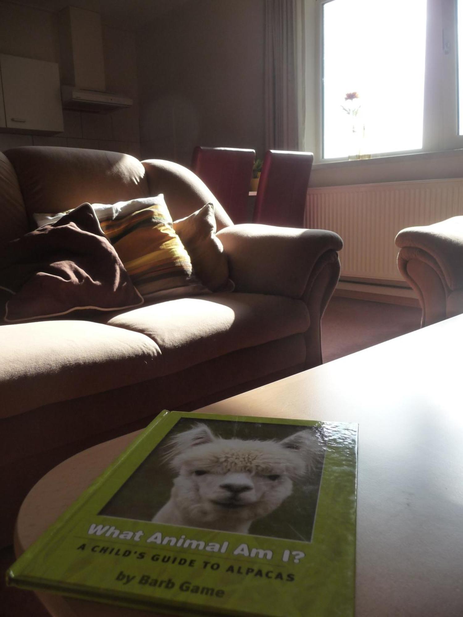 Apartamento De Alpacaboerderij Bocholt Habitación foto