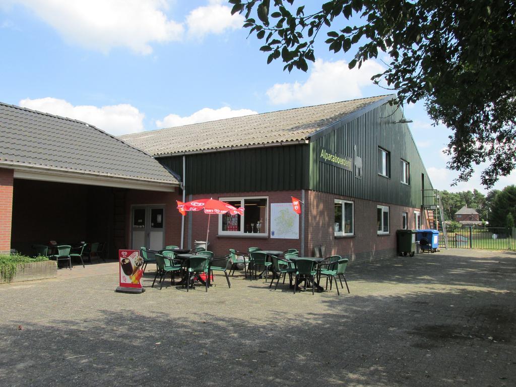 Apartamento De Alpacaboerderij Bocholt Exterior foto