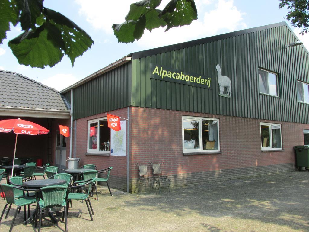 Apartamento De Alpacaboerderij Bocholt Exterior foto